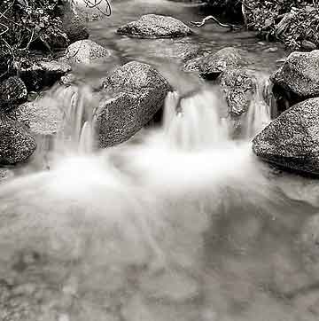 Monrovia Canyon, Spring