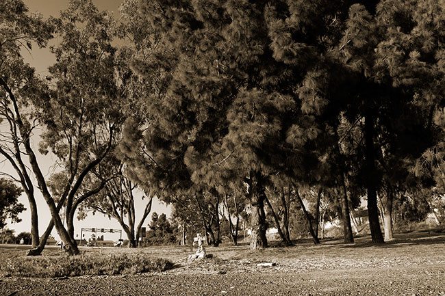 Freeway Exit Memorial