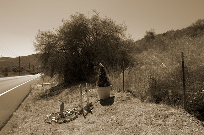 Rock Ring with Sea Shells