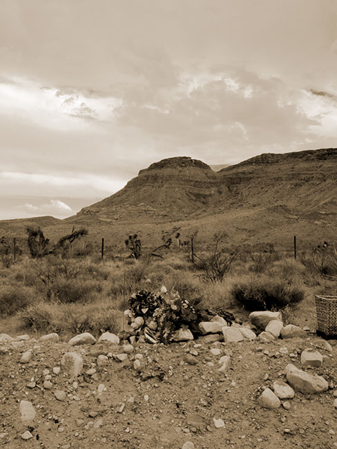 Rocks and Plastic Flowers