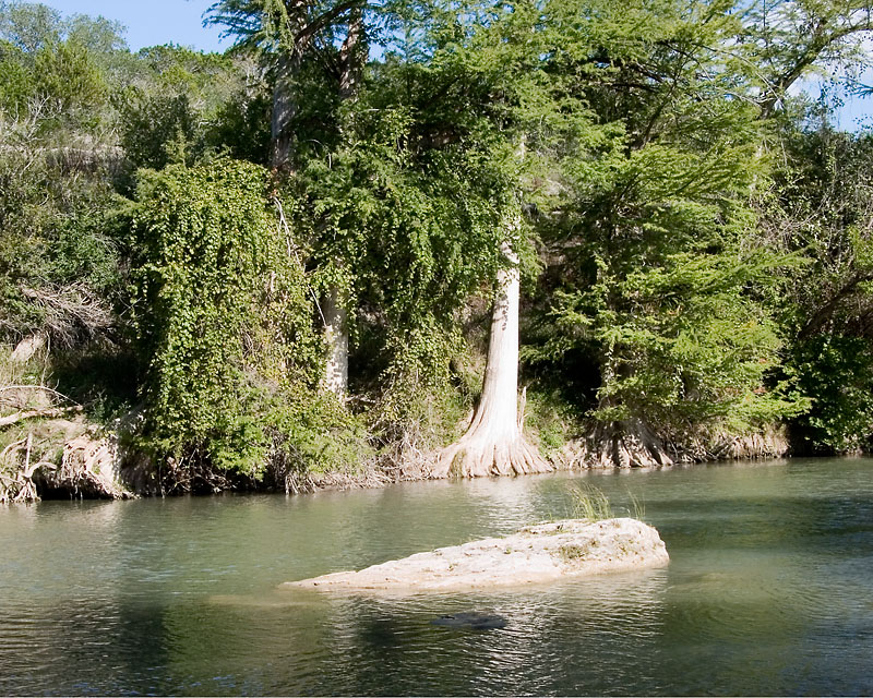 10-06_Guadalupe_State_Park_TX
