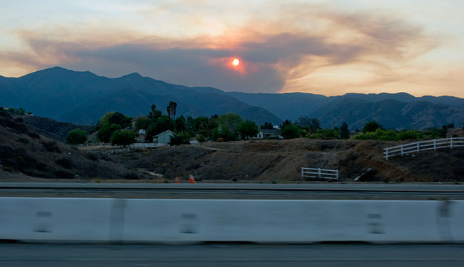 Sideways Glance at Forest Fire