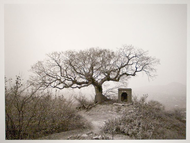 Xinfa Yan - Xiaoguan 2002