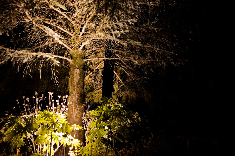 12-11-10 Fiuggi_2248