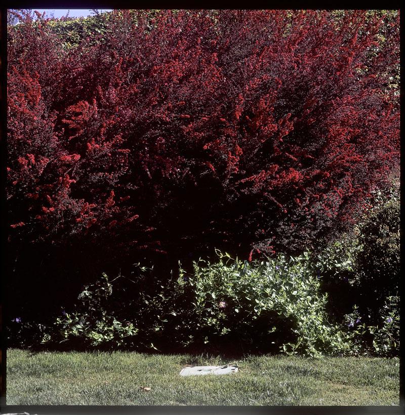 04-17-13 RSM neg 14-15 v2