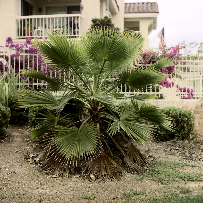 05-10-08 TCGC neg 1-2 lr-1x scan n cropped