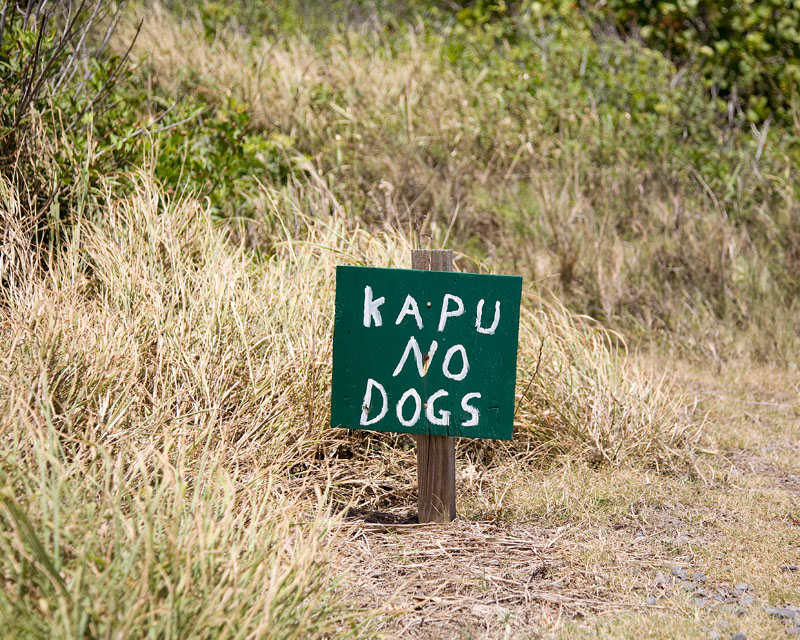 07-04-13_Kapalua_Maui_8922