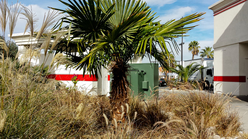 12-17-13_In_n_Out_Corona_124723