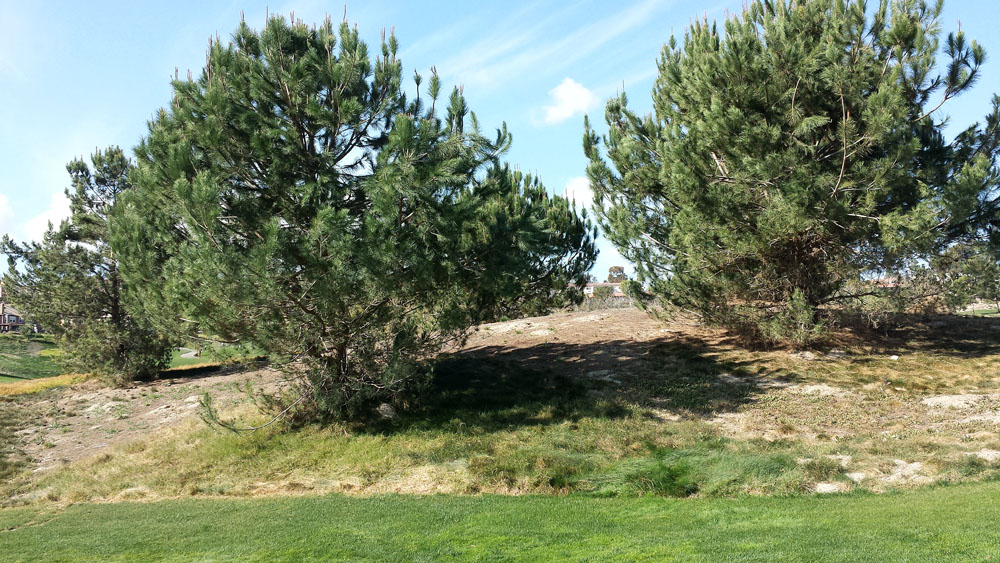 02-05-14_AVCC_102445