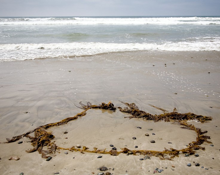 04-20-14_San_Onofre_beach_0525_108