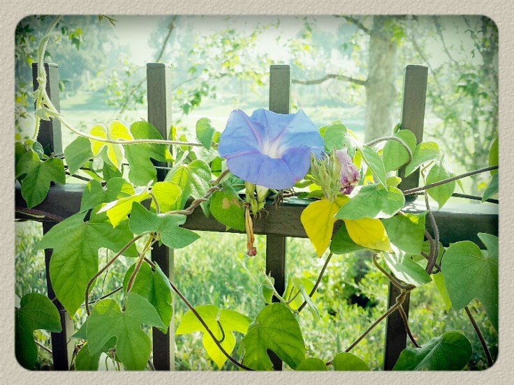 05-17_14_RSM-08-56-21