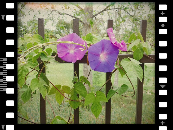 05-22-14_Reata_RSM-09-50-35_FX_Film