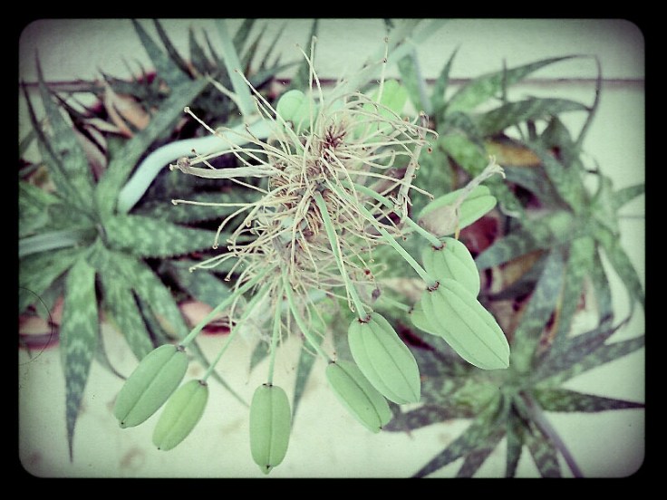 05-24-14_Memory_pods-09-11-46