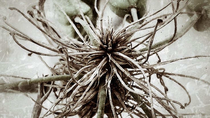 05-25-14_Memory_pod_132930_3