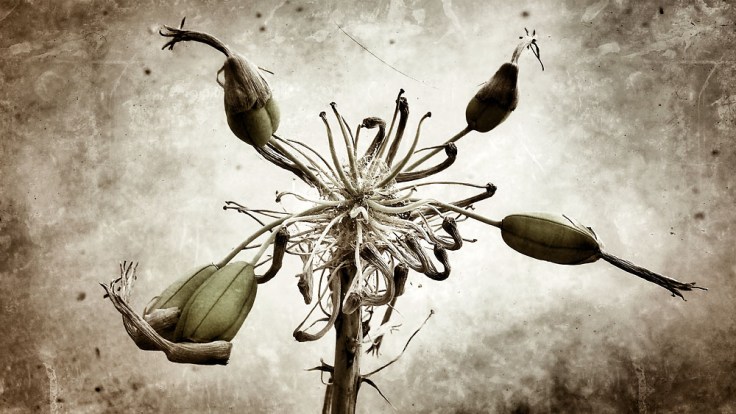 05-25-14_Memory_pod_145018_1