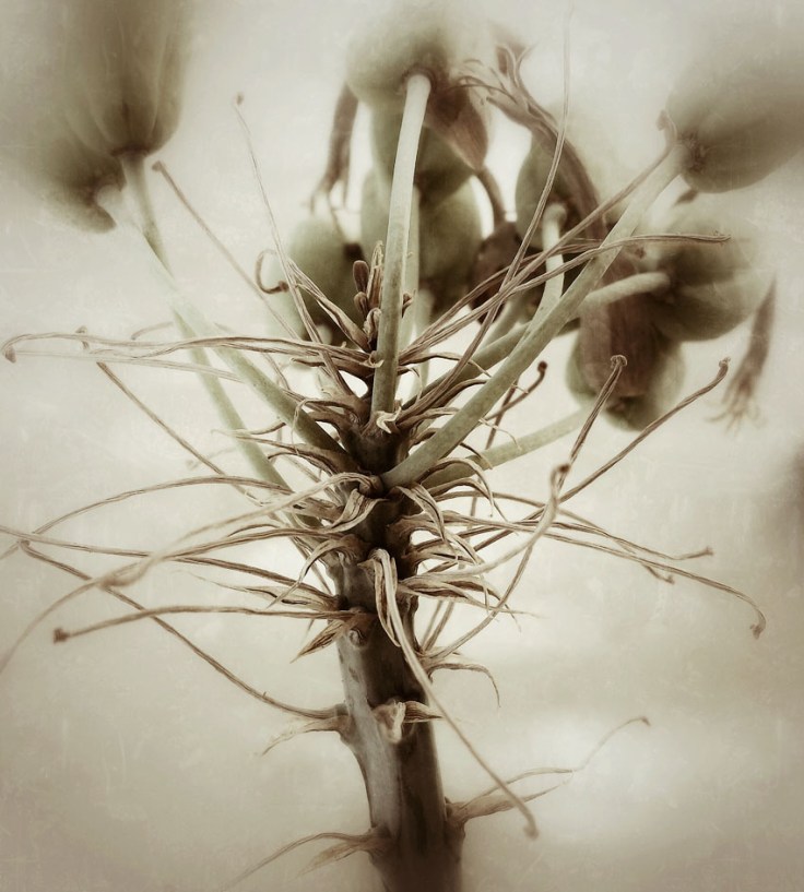 05-26-14_Memory_pods_07_081433