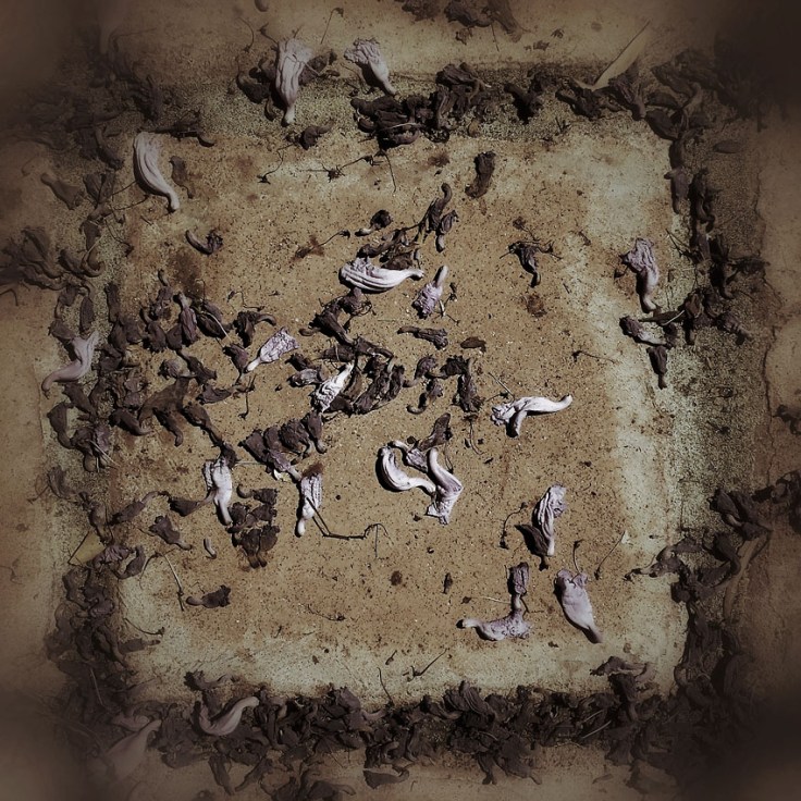 05-29-14_Memory_pods_21_101134_44