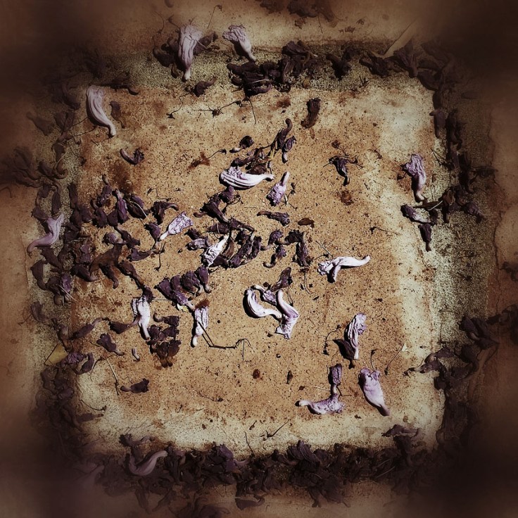 05-29-14_Memory_pods_22_101134_44