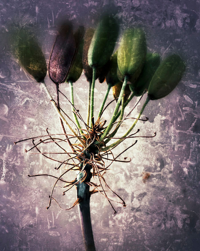 06-05-14_Grunge_Memory_pods_143412_v1