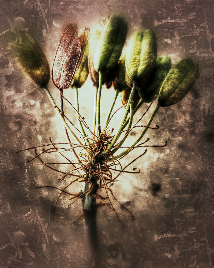 06-05-14_Grunge_Memory_pods_143412_v2