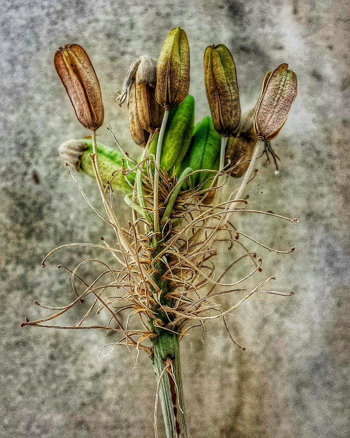 06-05-14_HDR_Memory_pods_144305_v2