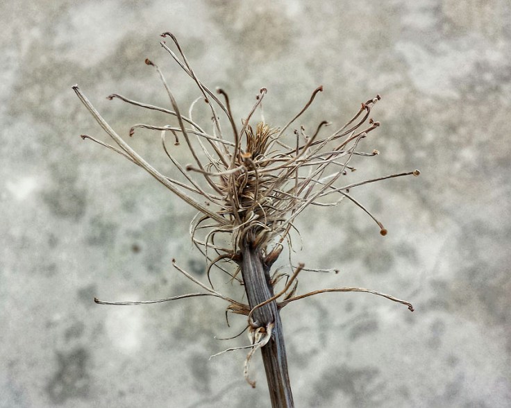 20140606_191358_1_3_hdr