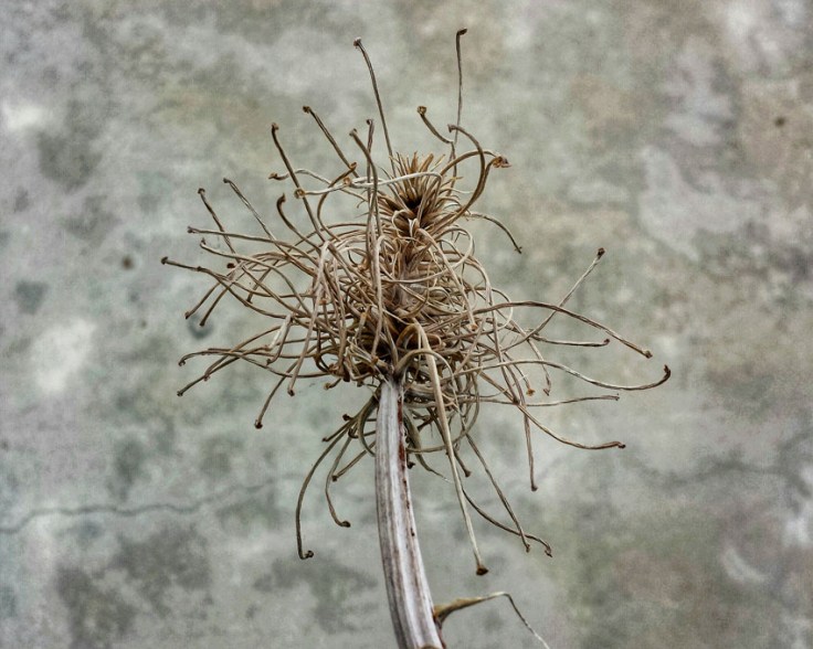 20140606_191505_1_3_1_hdr_jumbled_affair