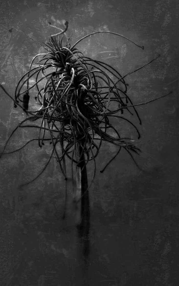 028B 06-03-14_Memory_pods_162638_Grayscale_No Memory pods