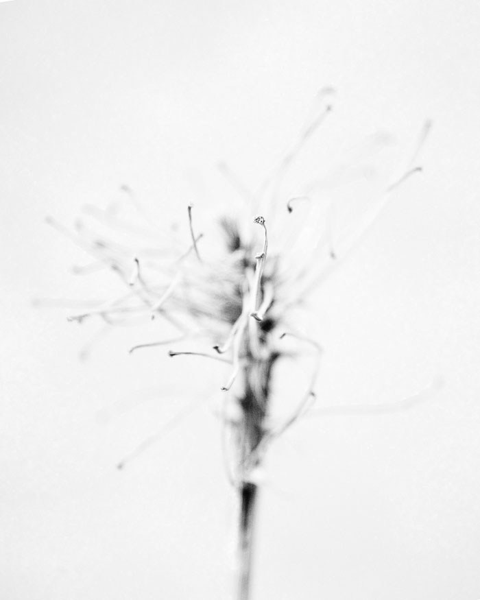 055_06-05-14_Memory_Pods_0953_Ghost_pods