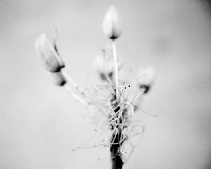 040 06-04-14_Memory_Pods_0950_108