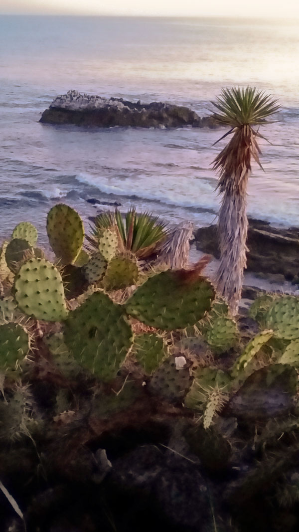 10-22-14 Laguna_Beach_cove