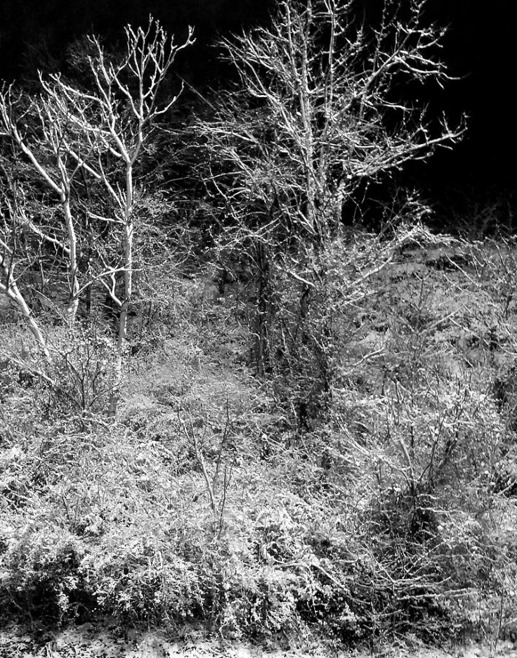 01-21-15_Hunt_Valley_MD_191152_11x14BW