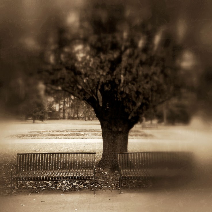 02-14-15_Cheesman_Park_benches_112029_1_6x6