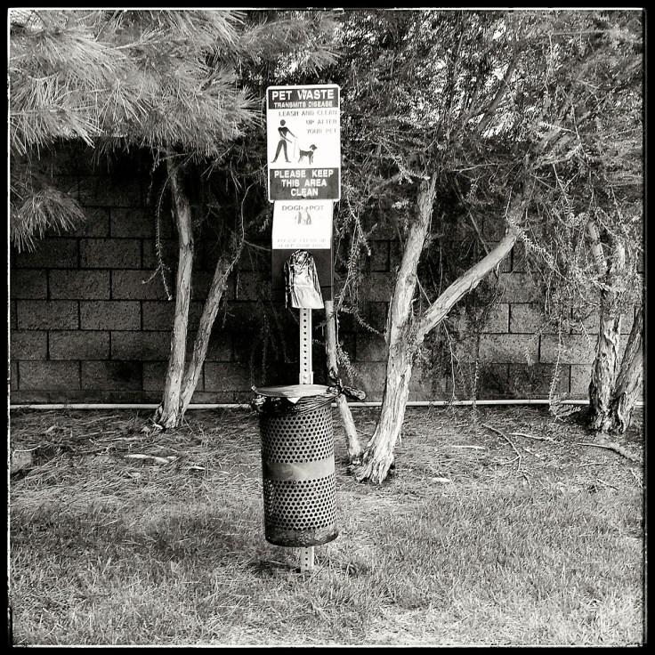 07-04-15_unseen_OC_085135-02