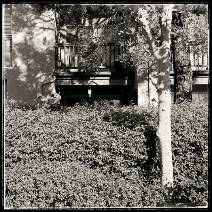 09-20-15_Neighborhoods_084207-02_RSM