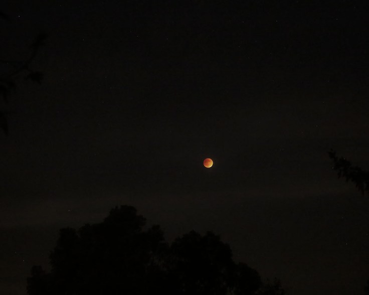 09-27-15_KI6A0466_Blood moon eclispse