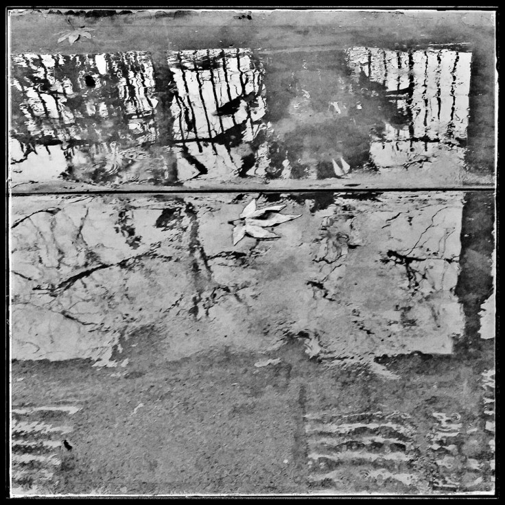 01-05-06_RSM_085525-01-01