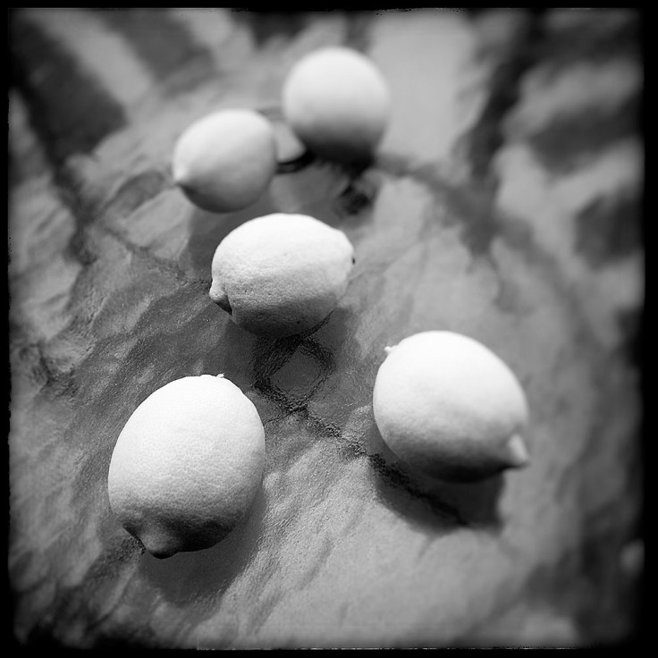 01-13-16_Lemons_094251-04