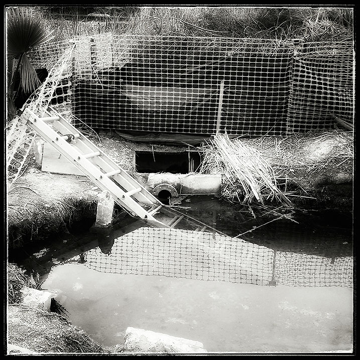 01-27-16_San_Diego_130832-03