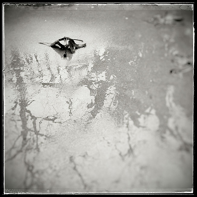 01-31-16_101944-03_rsm