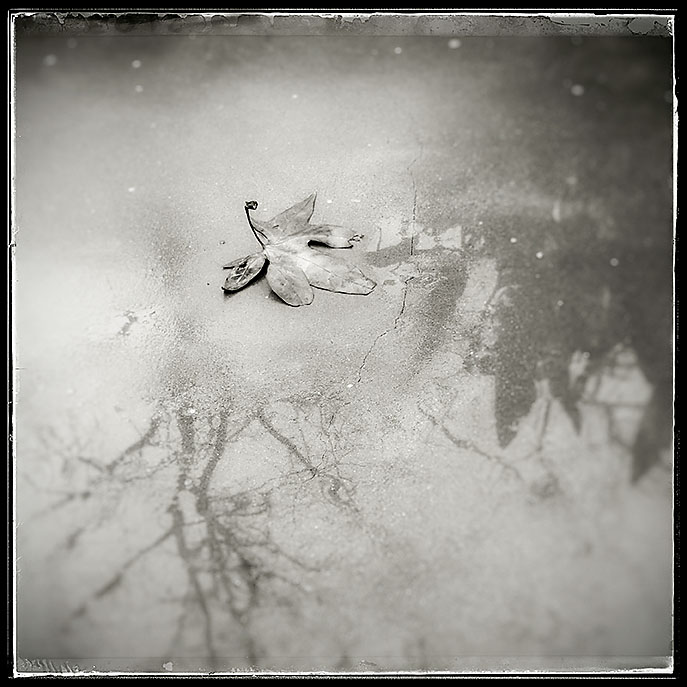 01-31-16_102819-04_rsm