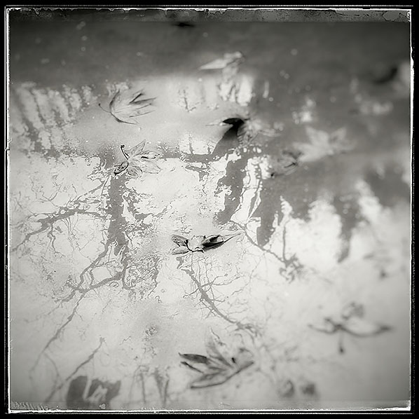 01-31-16_145854-03_rsm