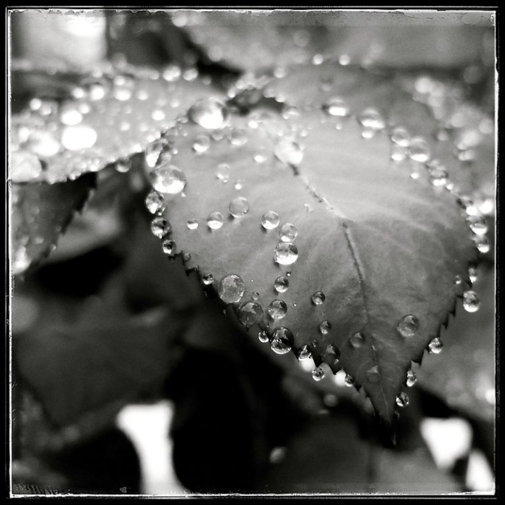 03-14-16_RSM_102531-04