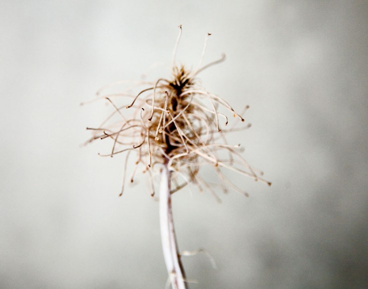 087 06-10-14_Memory_Pods_1127_108BW_No_Pods