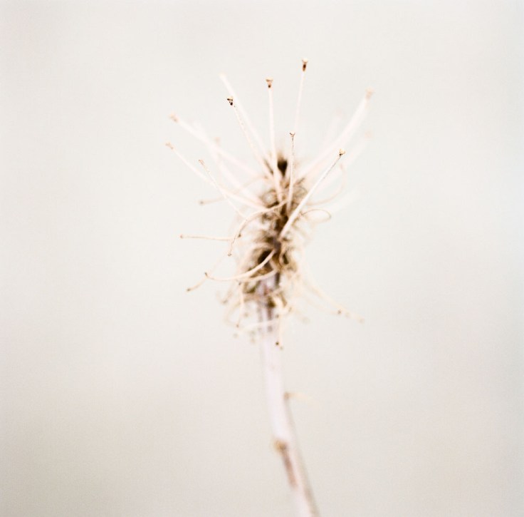 09-16_3834_neg10_fading