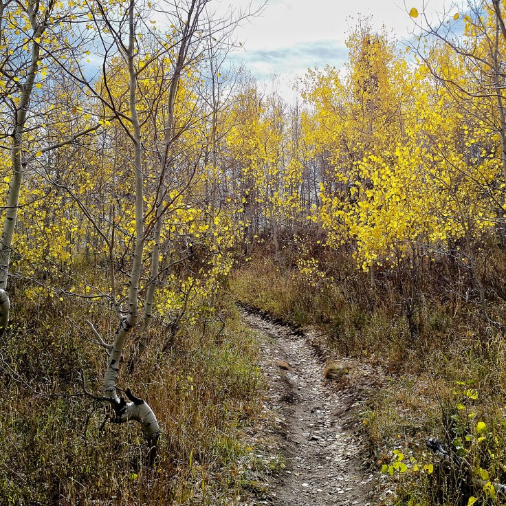 10-12-16-above-sundance-ut_132448-01