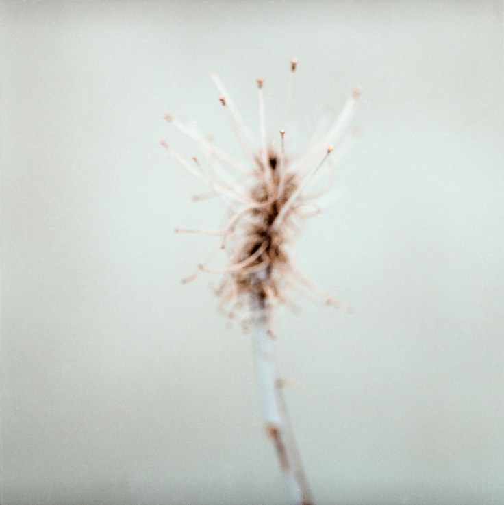 09-12-16-portra-160-80-neg8