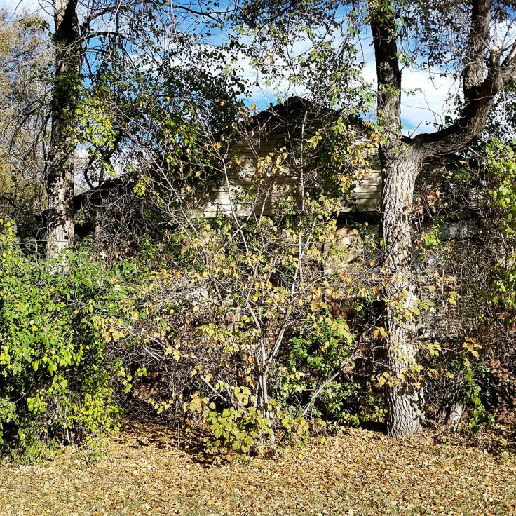 11-19-16_denver_093909-01_walking