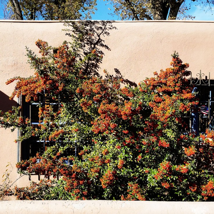 11-23-16_berger-st_101740-01_santa_fe