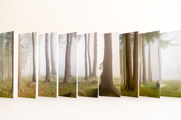 Dawn_Watson_Wild Things Live Here-3